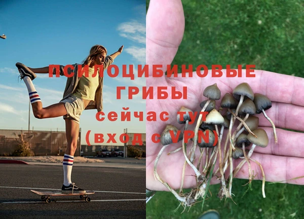 СК Верхний Тагил