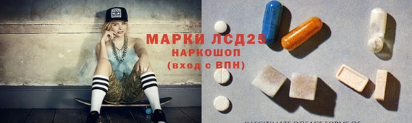 ПСИЛОЦИБИНОВЫЕ ГРИБЫ Березники