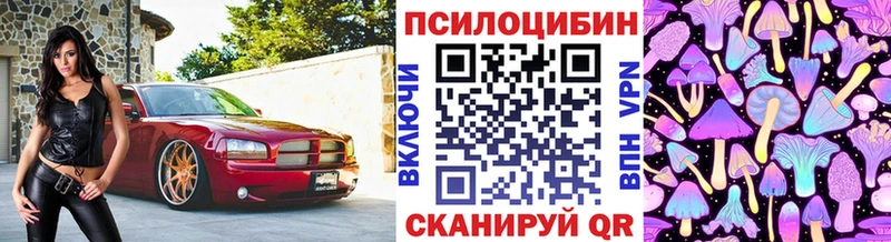 Псилоцибиновые грибы MAGIC MUSHROOMS  мега ONION  Гдов 